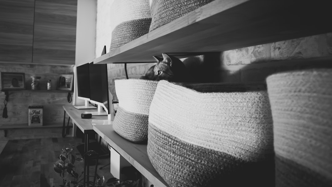 Prix d'un dressing sur mesure chez un menuisier en 2026